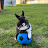 Biboune Fever Avatar