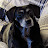 Crist Kilpatrick Avatar