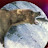 Don Joseph Avatar