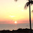 Sunnydreamer1470 Avatar