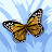 Sharon Deadwyler Avatar
