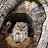 Greg Wilson Nature Photography Avatar