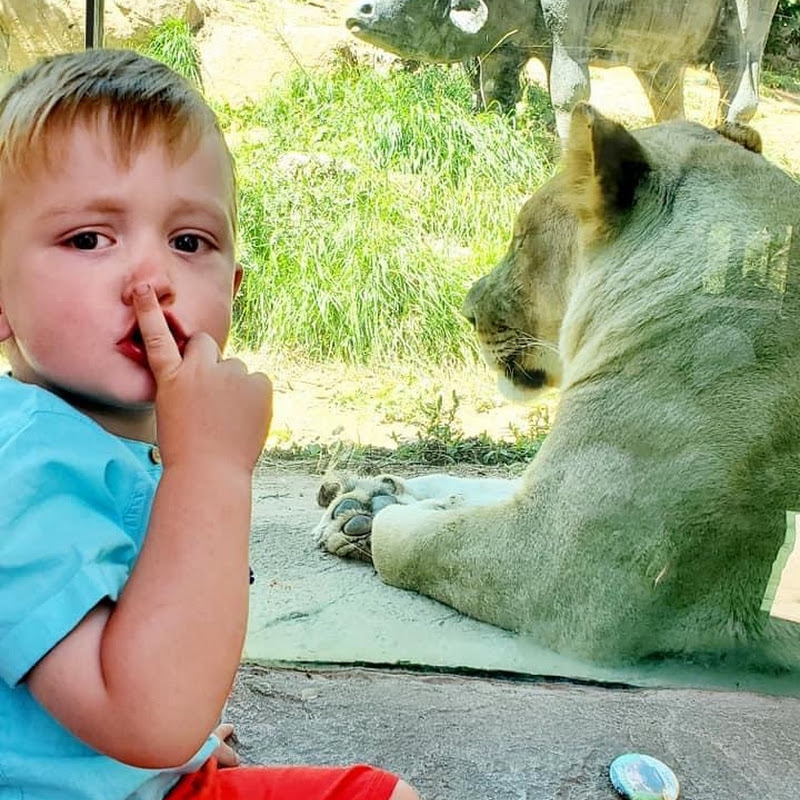 Little Jamie