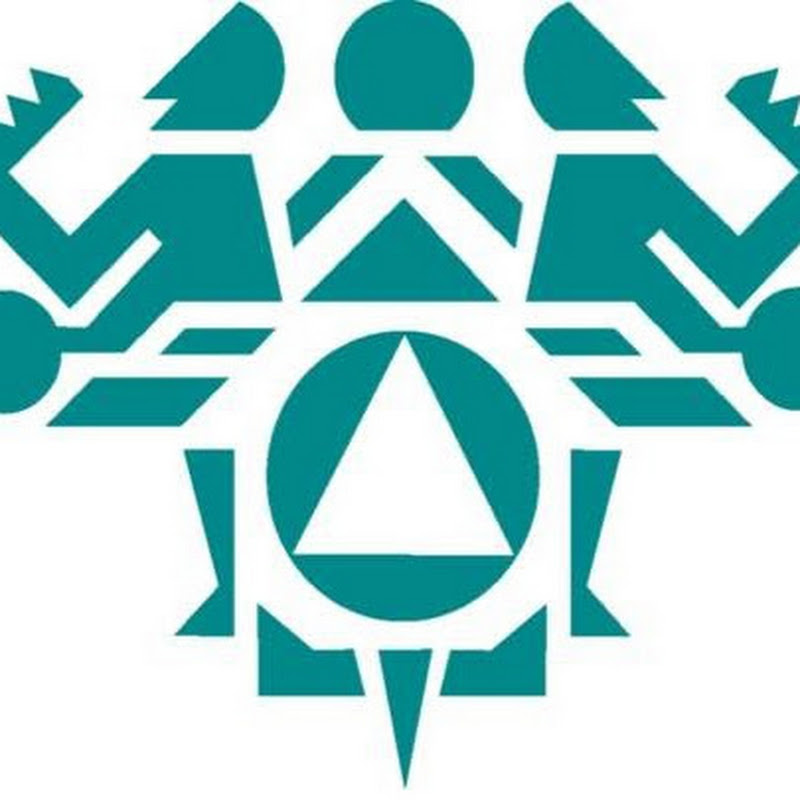 NPAIHB icon