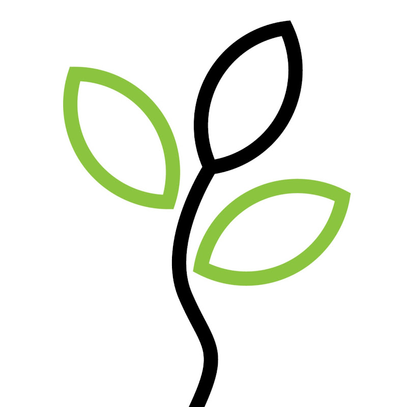 Grow Money Seeds