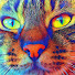 mpxVosRKDJs-channel-avatar-Ninjas in Fur