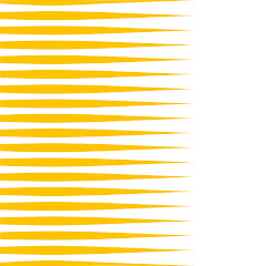 Hochschule für Musik Dresden