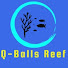 ym9YSWSSyao-channel-avatar-Q-Balls Reef