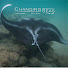 EAN-VRvD8_k-channel-avatar-ChangingSeasTV