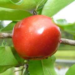 Thumbnail of related channel