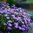 @user-jb3wg4jx8h