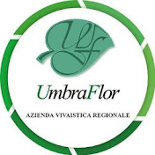 Umbraflor Azienda Vivaistica