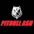 OYrjy-iDBNA-channel-avatar-pitbullash