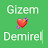 @gizemdemirel7341