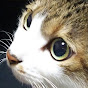 @ねこちゃん-k5n