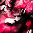 1QW1WwprI-s-channel-avatar-Havax