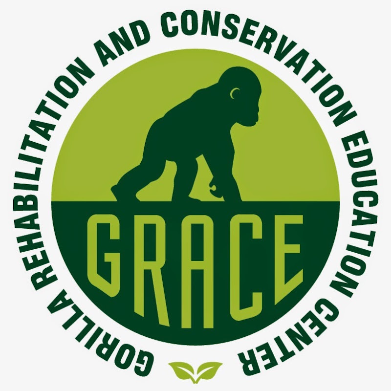 GRACEgorillas logo