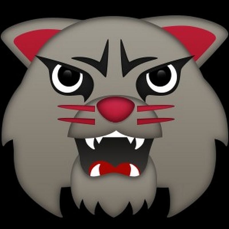 Lone Wildcat