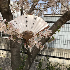 将棋専門チャンネル