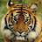@user-zr5ok7uc2r