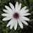 @aeolus75 Avatar