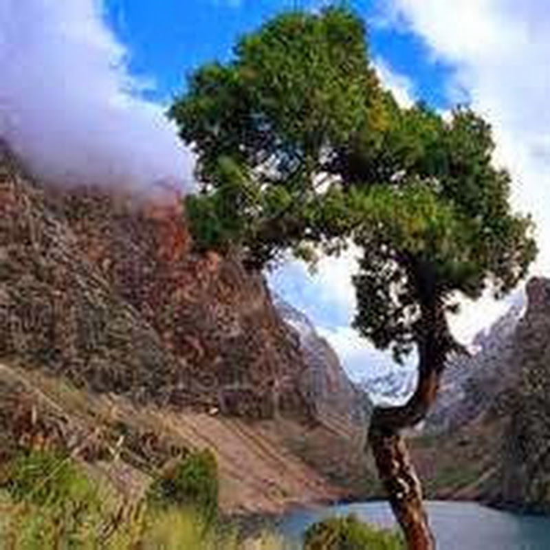 MuhammadAli Khamidov Logo