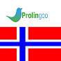 Prolingoo Norwegian Avatar