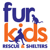 Furkids Animal Rescue and Shelters Cat Shelter