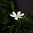 @5612-u8l