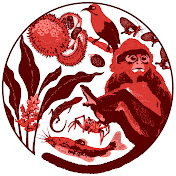 Little Red Jungle