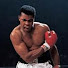 fGX2NRM-QGY-channel-avatar-Midwest Boxing