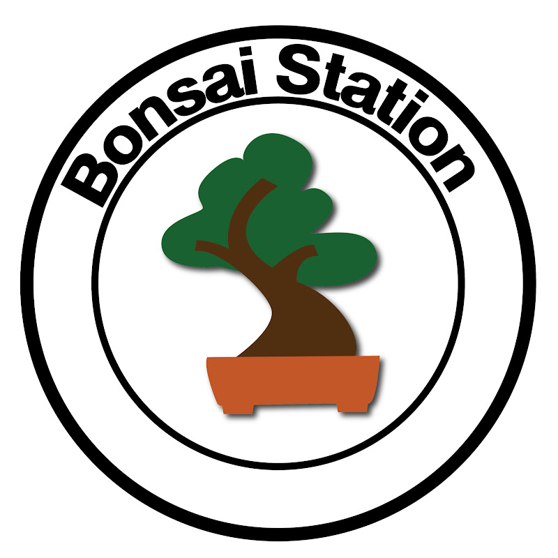 Bonsai Station