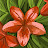 @올리브-w3c