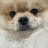 @구리구리-d2h