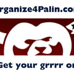 Organize4palin