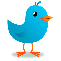 LittleBird Productions