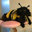 @FukiFugi's avatar