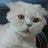 @태정태세비욘세-j3g