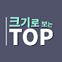 크기로 보는 TOP