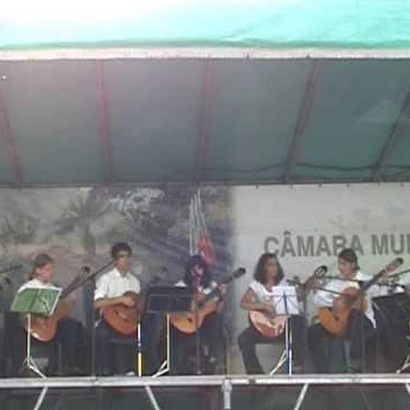 guitarmadeira