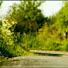 lK92_cVDNAo-channel-avatar-titicosti74