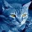 QlIoP4FyMY0-channel-avatar-Roberto Liberale