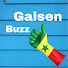 9oUJ0gVLaIY-channel-avatar-Buzz Galsen