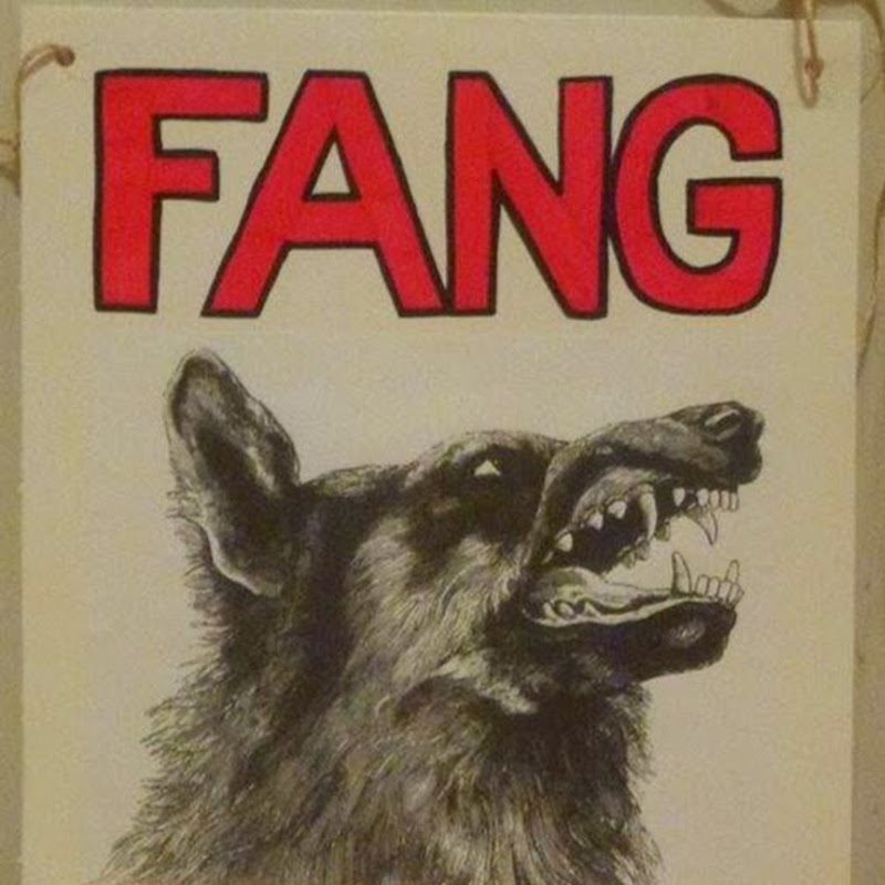 The FANG Collective