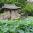 @강용수-g6y