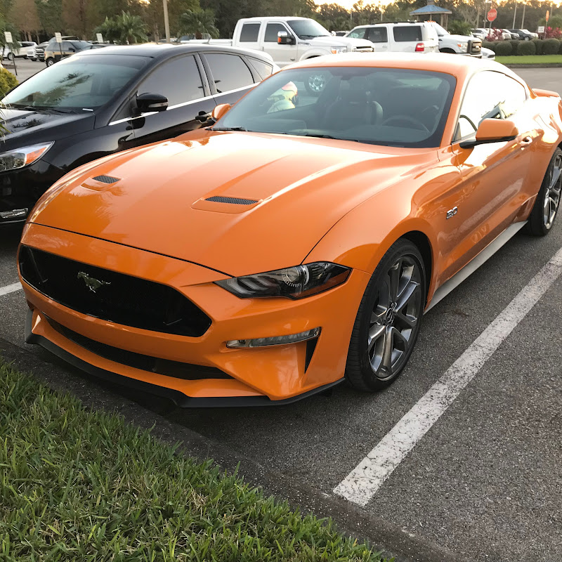 Coyote carguy
