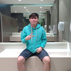 Alver's Vlog channel thumbnail