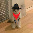 9QVWFK8PpKs-channel-avatar-Stahen