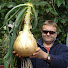 6JX6gSsscgU-channel-avatar-Allotment Diary