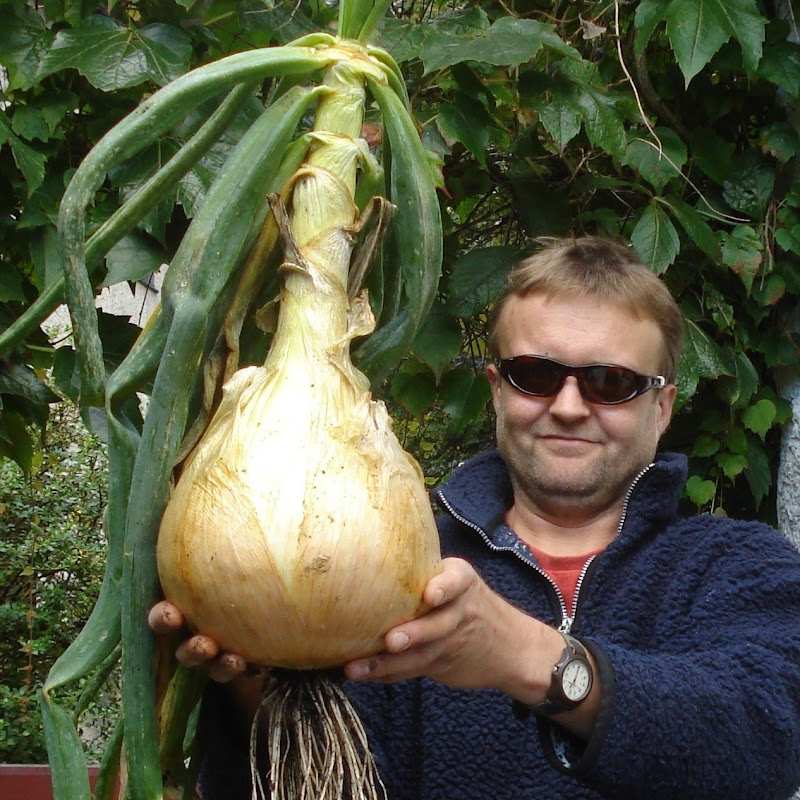 Allotment Diary icon